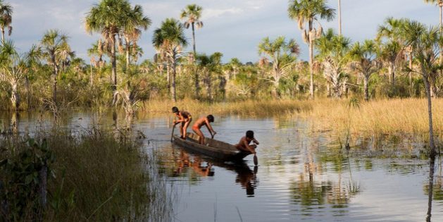 Xingu-fishers-1-1441-629x315-629x315.jpg