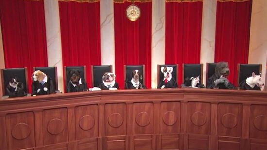 supremecourtasdogs.jpg