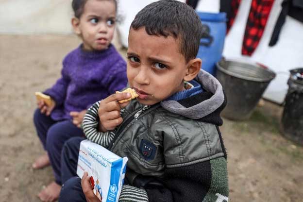 WFP-in-Gaza_.jpg