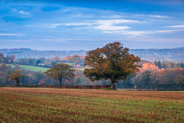 Shutterstock via Zoopla