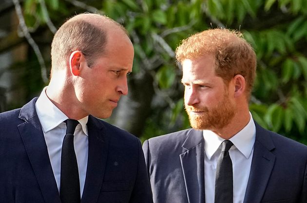 William (left) and Harry appear to have entirely different perspectives on 