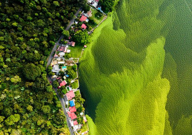 The dying lake by by Daniel Nunez, winner of the Wetlands - The Bigger Picture category. 