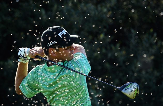 Golfers during the Africa Open in 2012 were hit by waves of flying ants