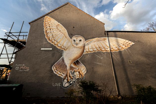 Barn Owl by painted by Jane Mutiny