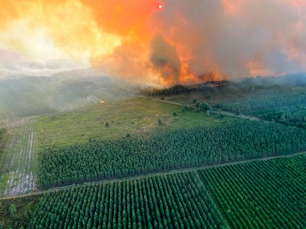 This photo provided by the fire brigade of the Gironde region (SDIS 33) shows a wildfire near Landiras, southwestern France, Sunday July 17, 2022. Firefighters battled wildfires raging out of control in France and Spain on Sunday as Europe wilted under an unusually extreme heat wave that authorities in Madrid blamed for hundreds of deaths. (SDIS 33 via AP)