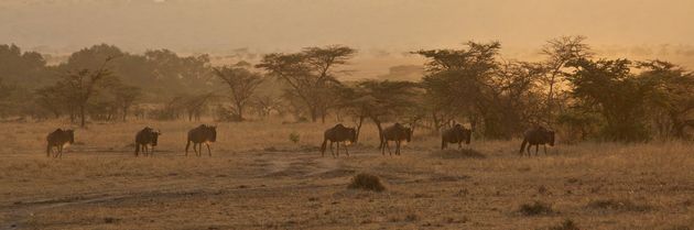 Arusha, Tanzania