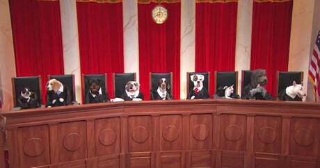 file_20577_column_john-oliver-supreme-court-with-dogs.jpg