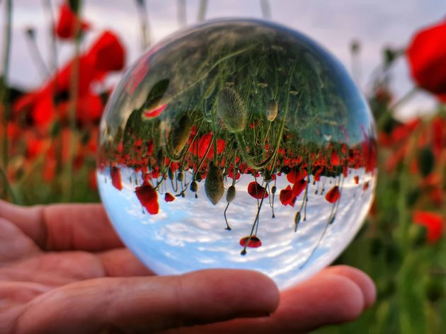 Hayley Severn from Basingstoke took this artistic shot in the first lockdown, when a local farmer opened their poppy field for everyone to enjoy. 