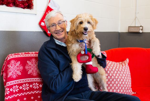 Paul O'Grady returns to Battersea Dogs Home