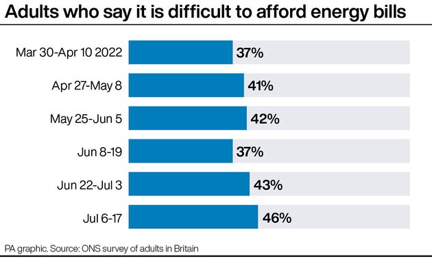 Adults who say it is difficult to afford energy bills.