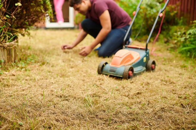 July's heatwave has left UK land looking dry 