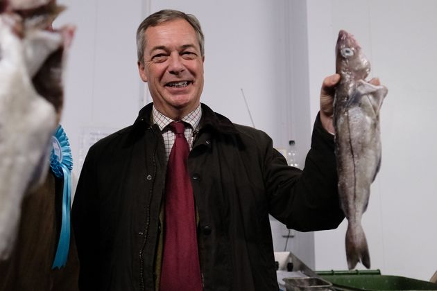 Nigel Farage holds a fish as he visits a fish processing factory in Grimsby Fishing village as part of a media event during the Brexit Party general election campaign tour on November 14, 2019 