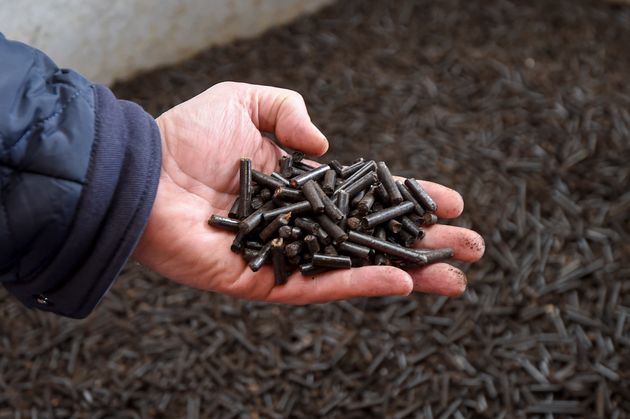 Densified wood pellets for biomass energy