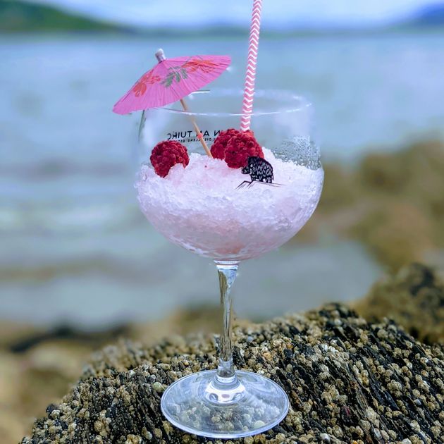 Pink Gin Slushie