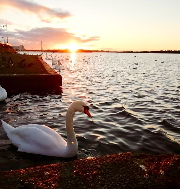 This peaceful sunset was captured by Clare Forster from Warrington at Crosby Marina, Merseyside. 