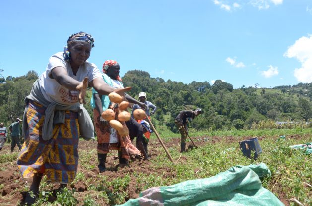 Experts-say-there-is-a-high-probability-that-any-agricultural-product-that-we-buy-has-been-produced-by-a-woman.-Photo-Joyce-Chimbi-629x417.jpg